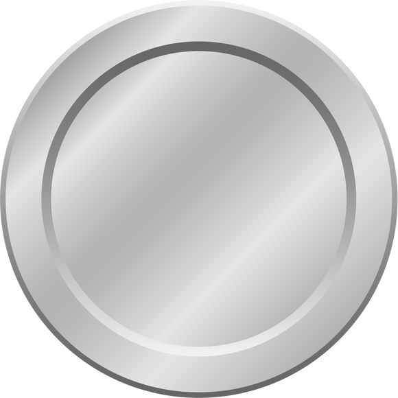 Silver Coin Icon         